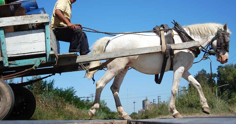 Resistencia tendrá la audiencia por la eliminación de la tracción a sangre