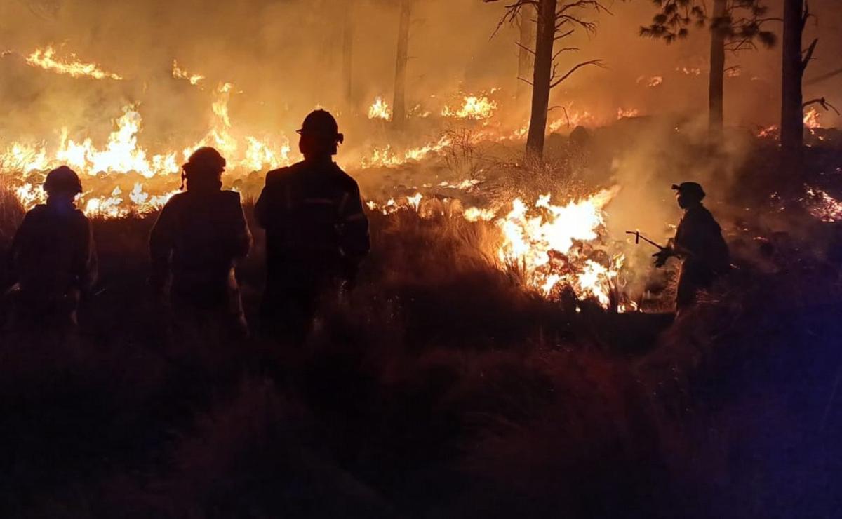 img-Continúan activos cuatro focos de incendio en Córdoba