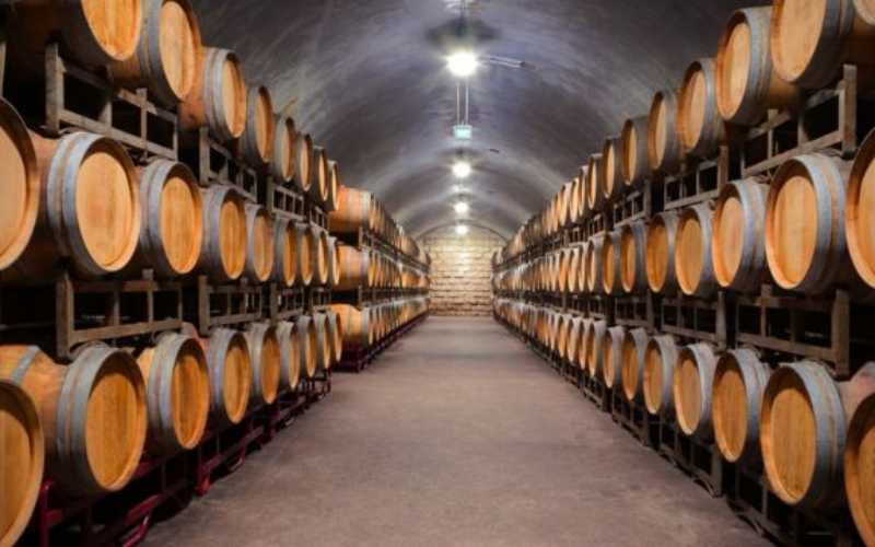 Las exportaciones vitivinícolas aumentaron 5,3% de enero a octubre de 2024