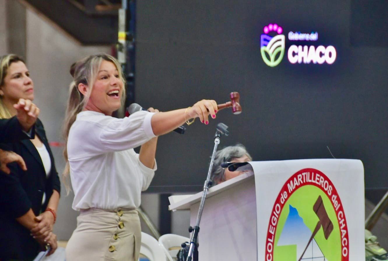 El Gobierno recaudó más de 236 millones de pesos en la subasta de vehículos oficiales