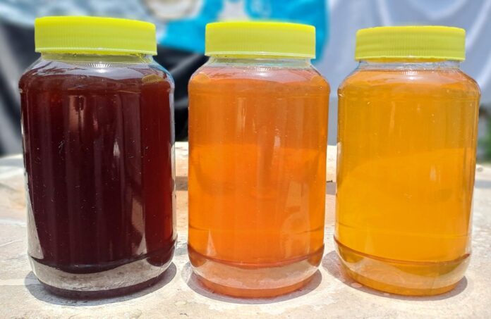 img-Un proyecto de la UNNE busca potenciar el consumo y aprovechamiento de la miel de abeja