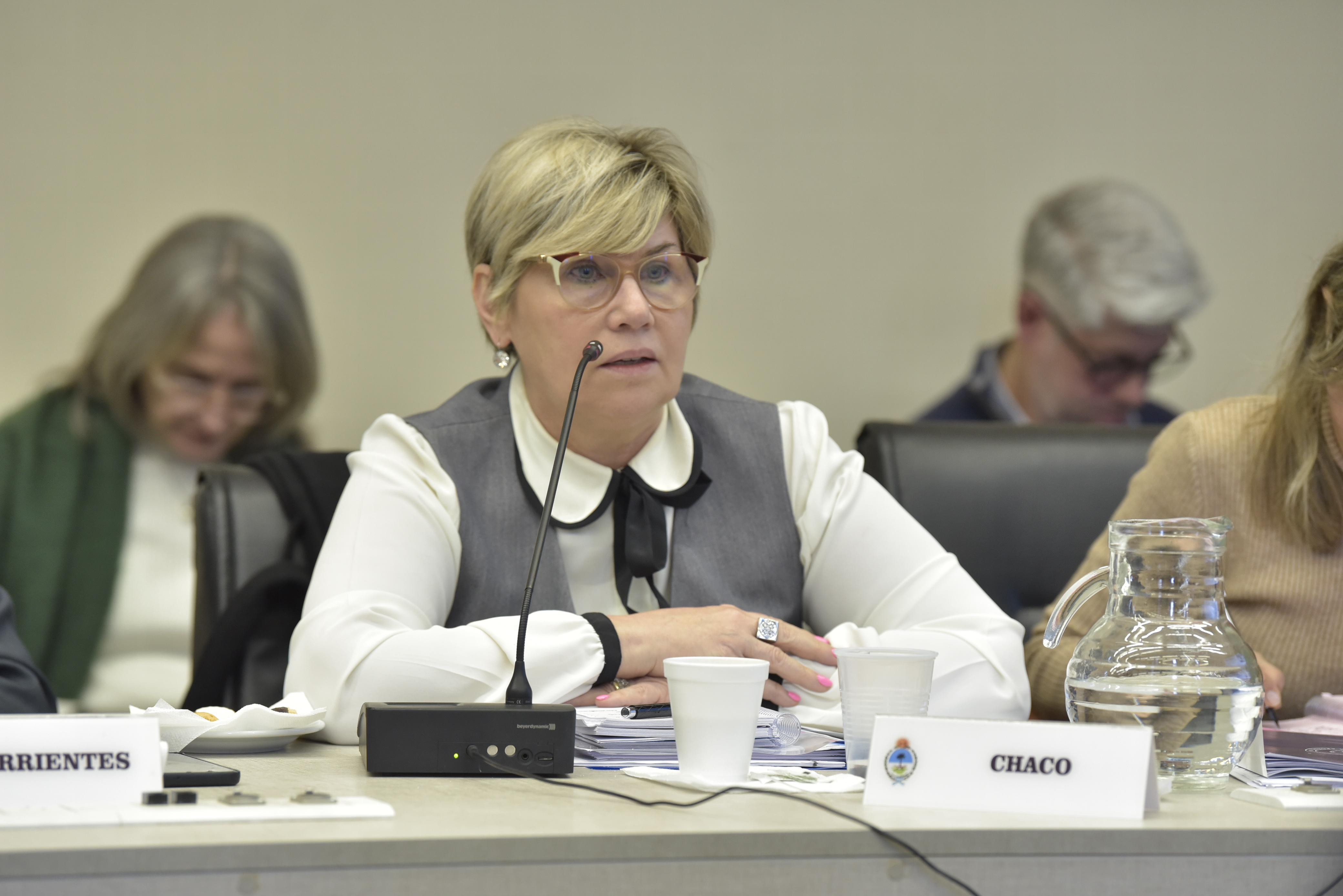 Con la participación de Chaco, el Consejo Federal de Educación avanzó en nuevos marcos de referencia para la educación técnico profesional