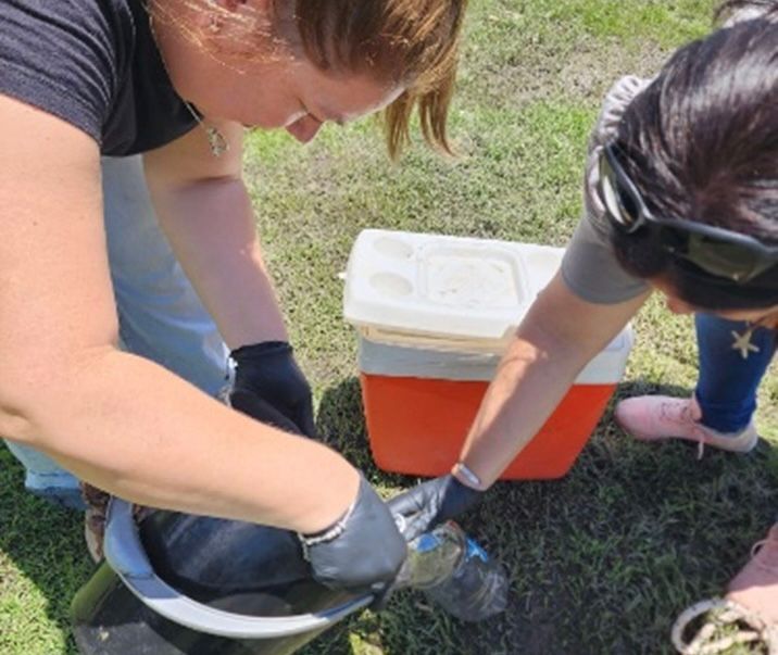 Río Negro: la APA estudia muestras del curso de agua donde se detectaron peces muertos