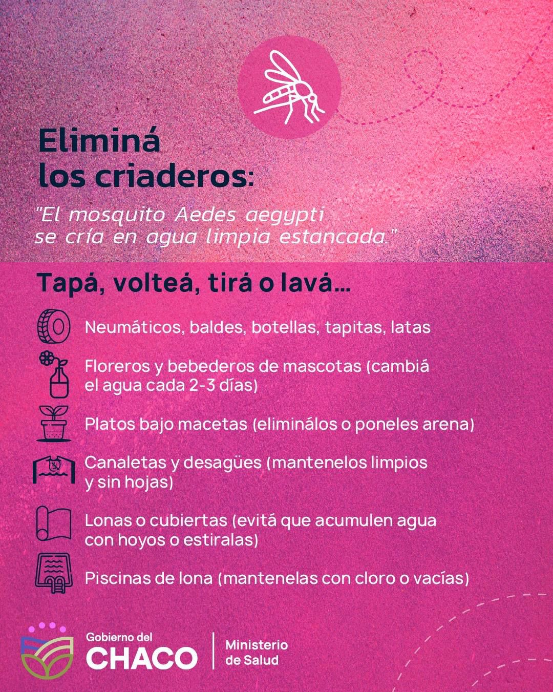Salud recuerda medidas claves para evitar criaderos de mosquitos