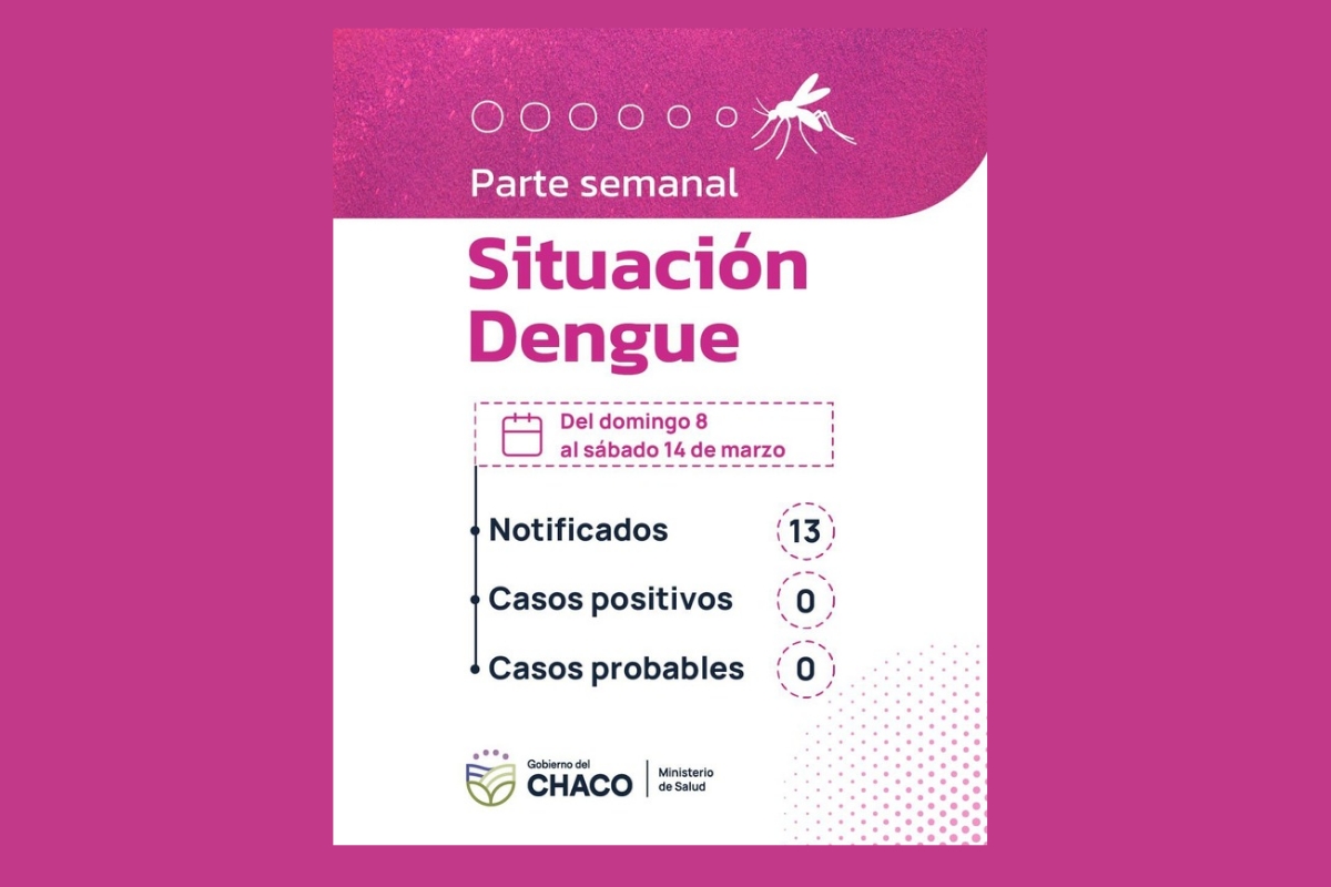 Chaco sin casos de Dengue: refuerzan las medidas de prevención