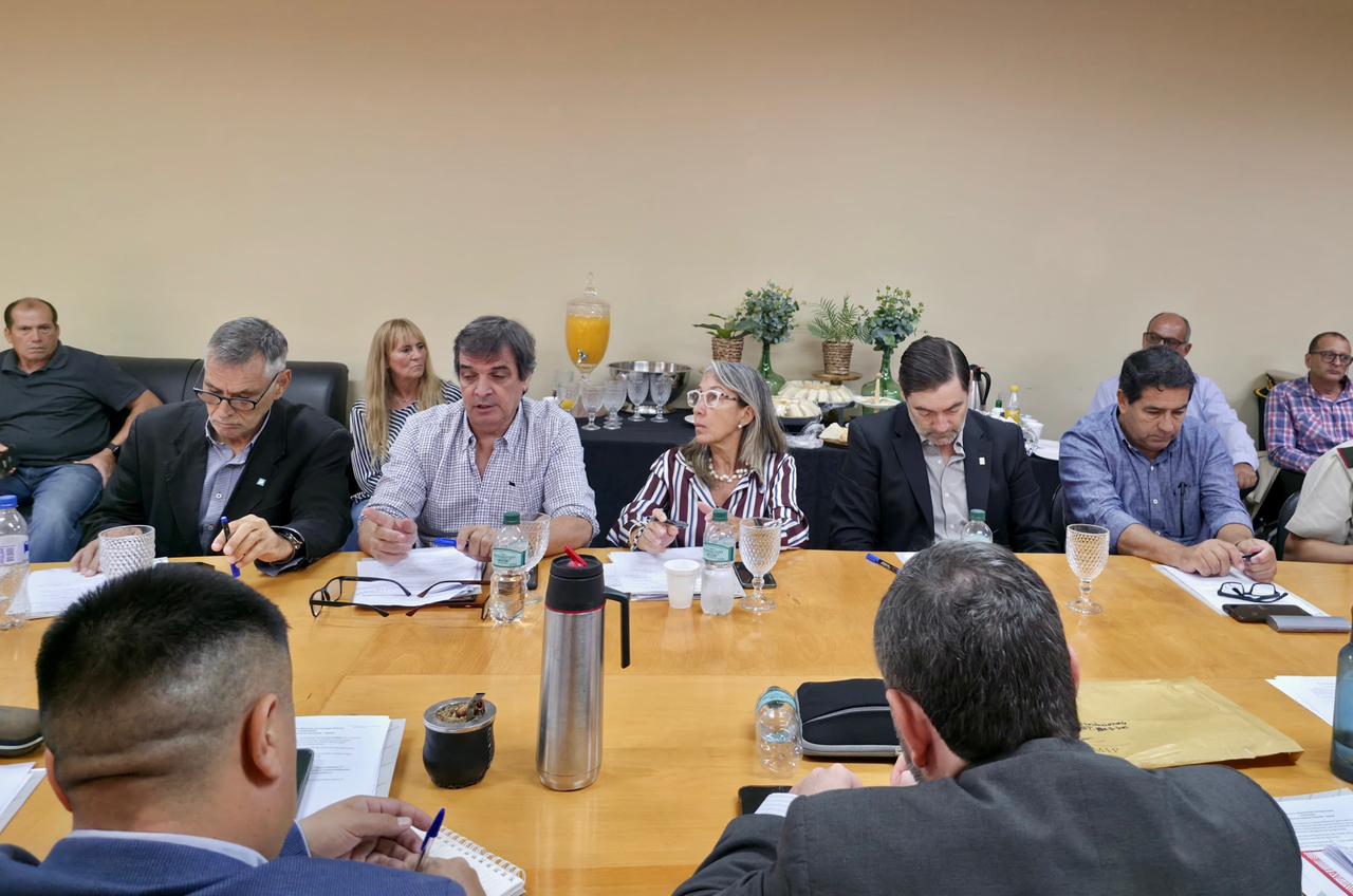 Reunión de la Comisión Mixta de Pesca Argentina–Paraguay: avanzan en estrategias para proteger el recurso pesquero