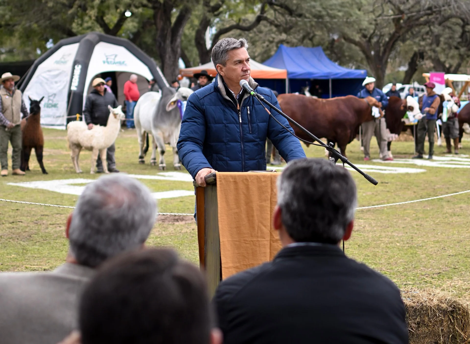 81ª exposición ganadera de Machagai: “Cuando al campo le va bien, le va bien al Chaco y al país”, expresó Zdero