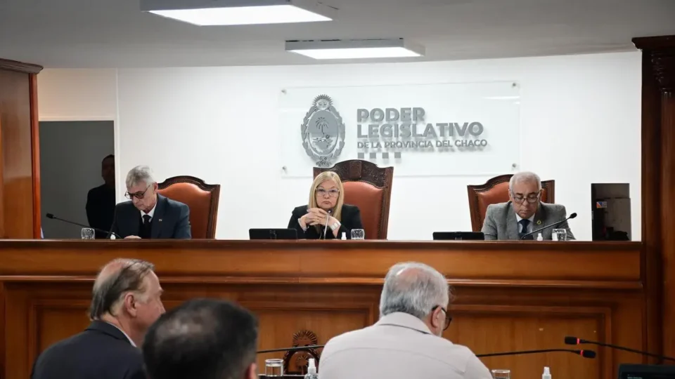 La Legislatura chaqueña aprobó la suspensión de las PASO por un año