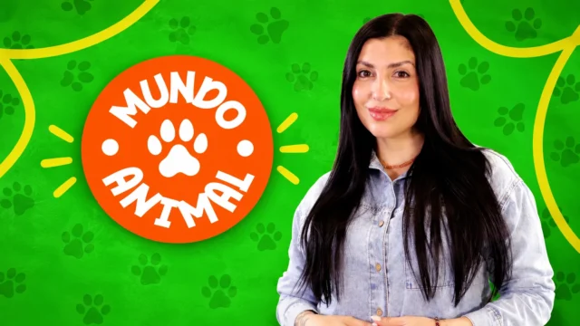 Mundo Animal