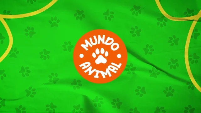 Mundo Animal