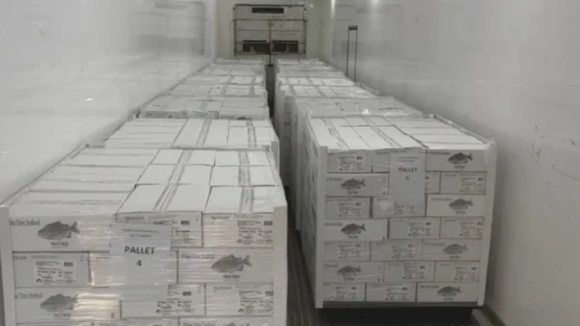 Argentina afianza la exportación de pacú chaqueño hacia los Estados Unidos