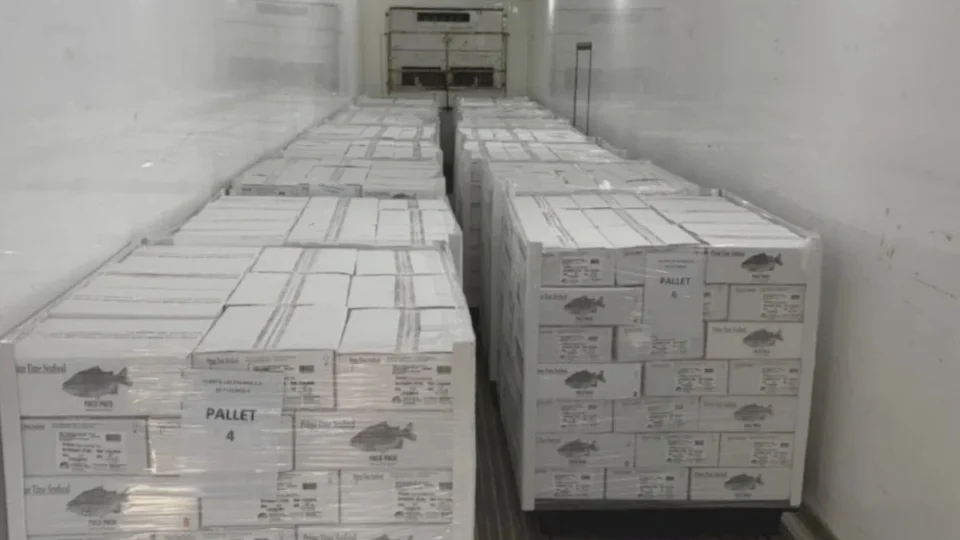 Argentina afianza la exportación de pacú chaqueño hacia los Estados Unidos