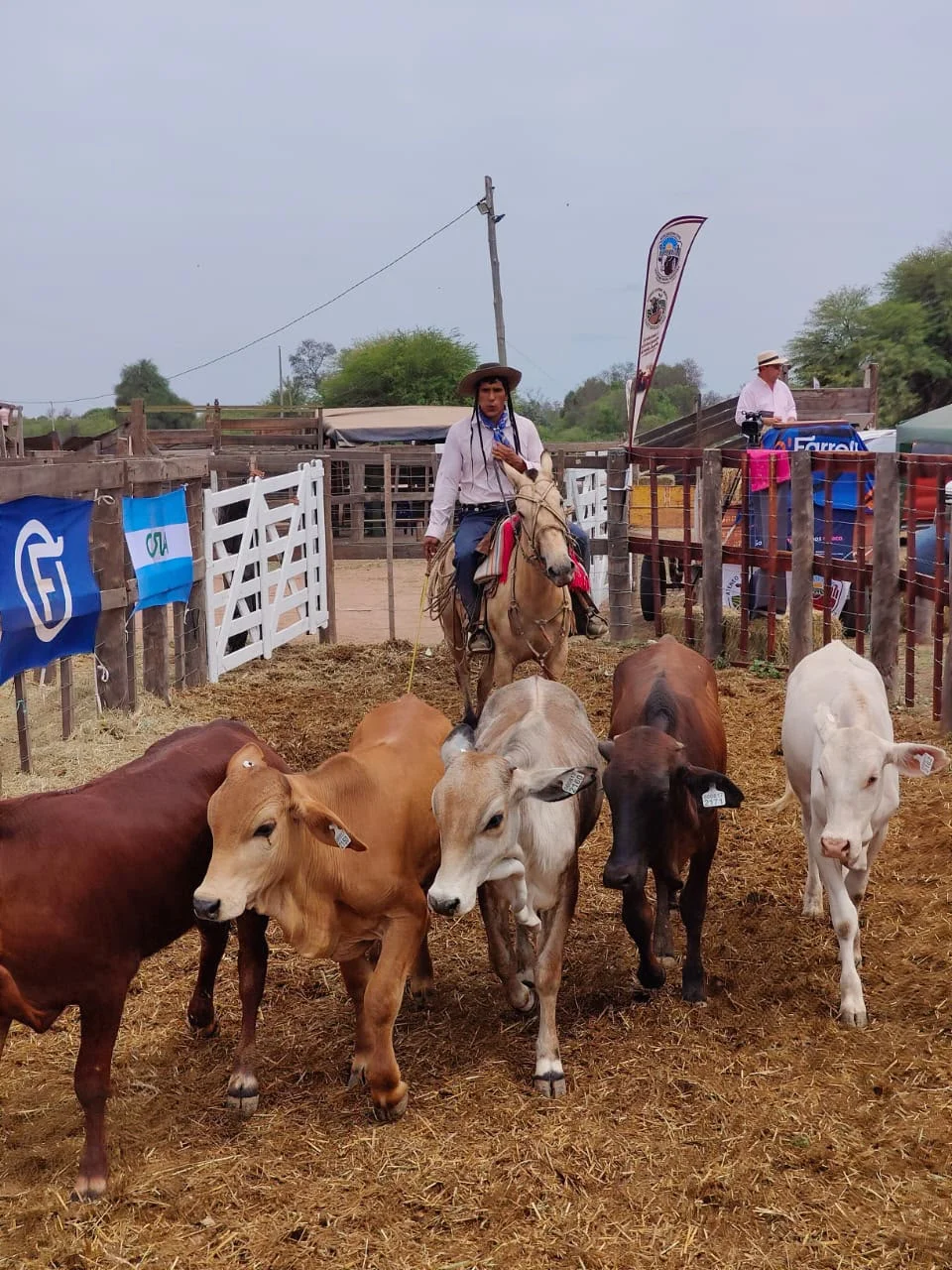 Fuerte Esperanza: jornada histórica para la ganadería de la zona.